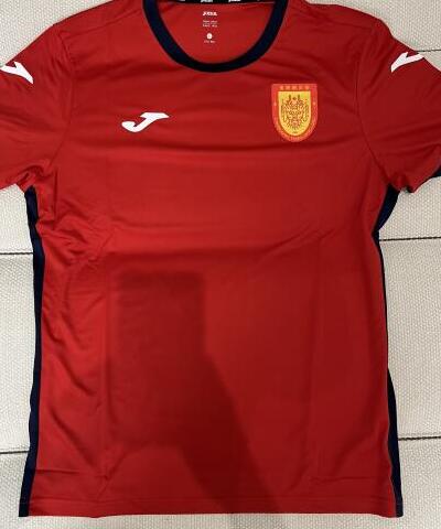 Chongqing Tonglianglong